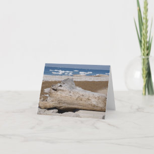 Lake Michigan Iceberg & Driftwood Blank Notecards