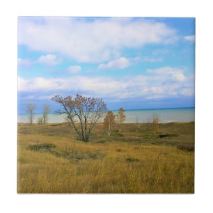 Lake Michigan, Sheboygan, Wisconsin Tile