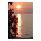 Lake Michigan Sunset