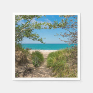 Lake Michigan Tranquillity Napkin