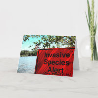 "LAKE MONSTERS!" Get Well Card