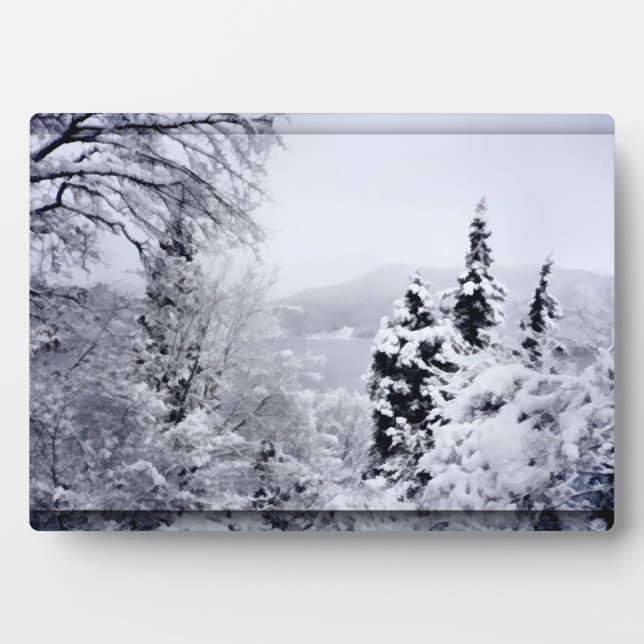 Lake Nojiri Photo Plaque (Front)