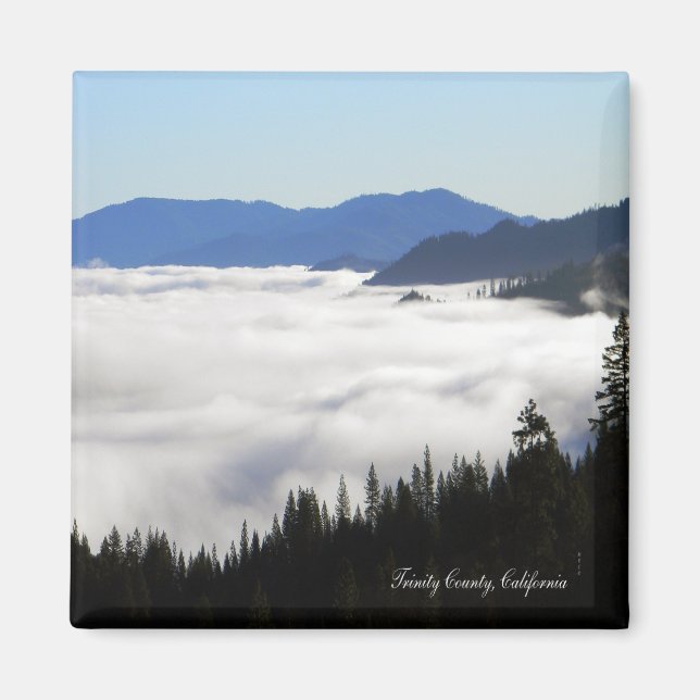 Lake of Fog through trees... Magnet (Front)