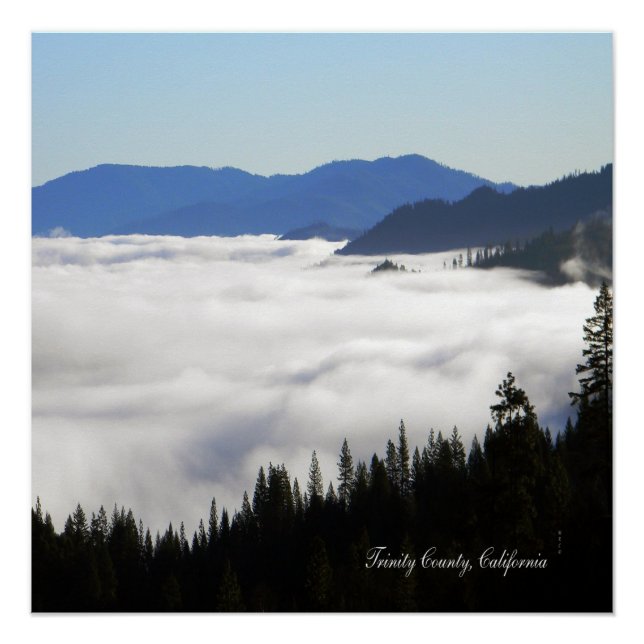 Lake of Fog through trees... Poster (Front)