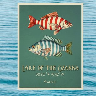Lake of the Ozarks Missouri fish Postcard