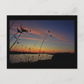 lake of the ozarks postcard