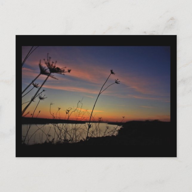 lake of the ozarks postcard (Front)