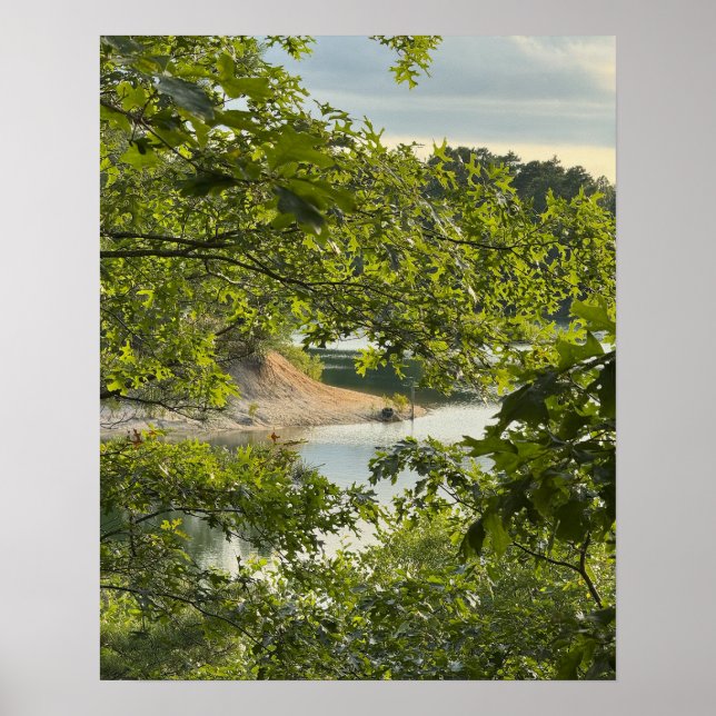 Lake Overlook Photo Poster (Front)