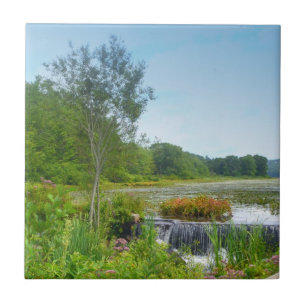 Lake Quanipaug Trivet