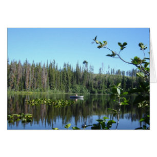 Lake Reflection Waterlilies Peaceful Image Psalm