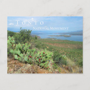 Lake Roosevelt, Tonto National Monument, AZ Postcard
