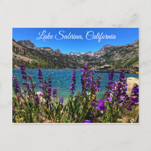 Lake Sabrina California Postcard