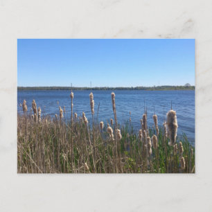 Lake Simcoe Postcard