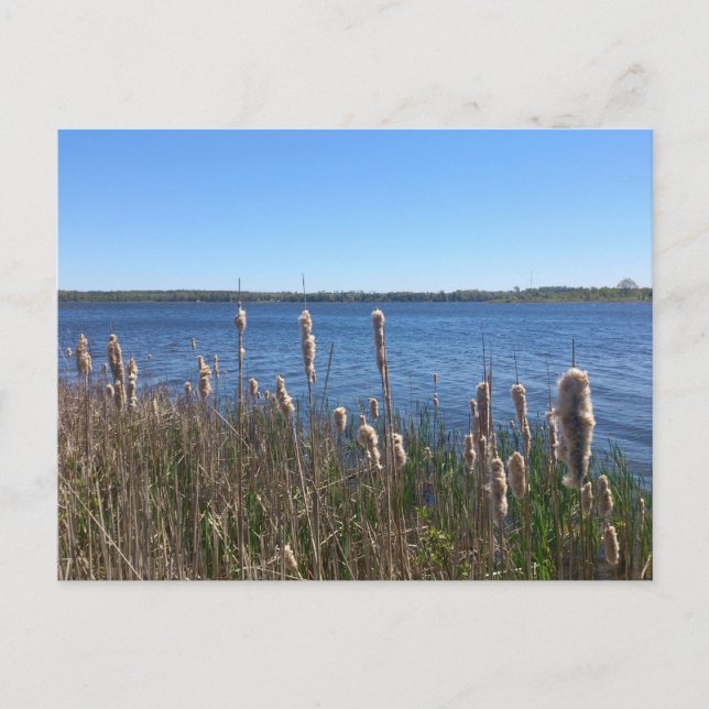 Lake Simcoe Postcard (Front)