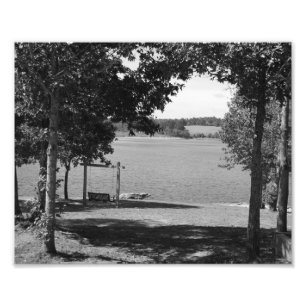 Lake Swing Photo Print