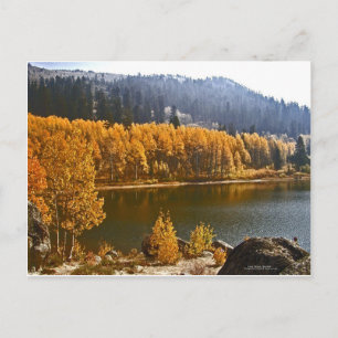 Lake Tahoe in the Fall / Winter Landscape Postcard