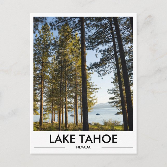 Lake Tahoe Nevada Photo Postcard (Front)