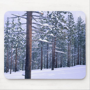 LAKE TAHOE STATE PARK, NEVADA. USA. Fresh snow Mouse Pad