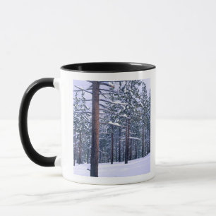 LAKE TAHOE STATE PARK, NEVADA. USA. Fresh snow Mug