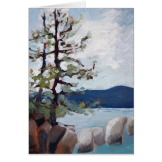 Lake Tahoe study