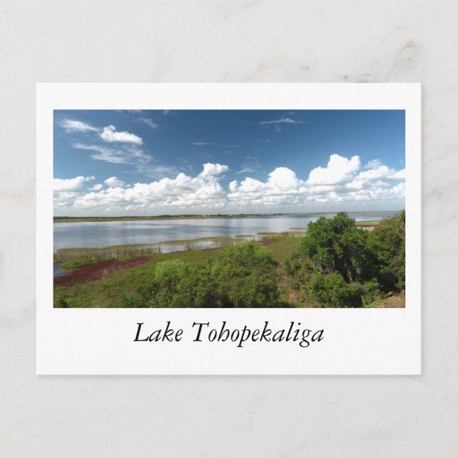 Lake Tohopekaliga Florida Postcard (Front)
