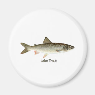 Lake Trout Artwork Magnet