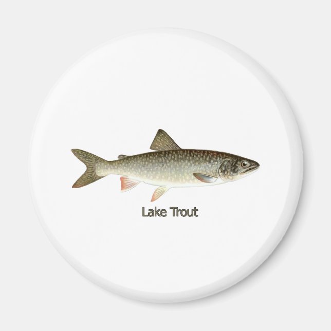 Lake Trout Artwork Magnet (Front)