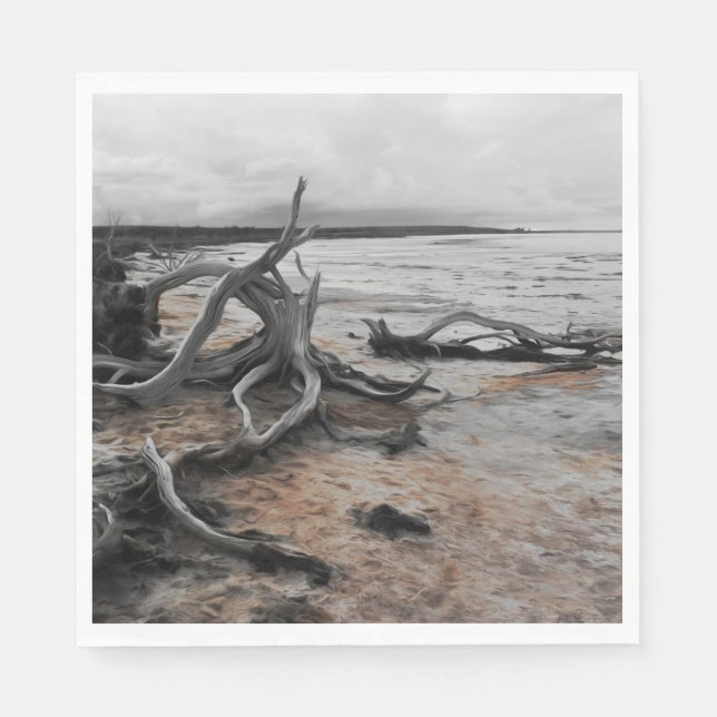 Lake Tyrrell Natural Forces  Napkin (Front)