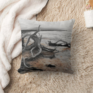 Lake Tyrrell Natural Forces Throw Pillow
