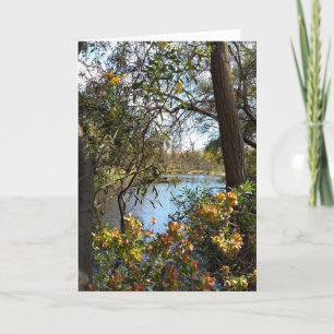 Lake View Greeting Card