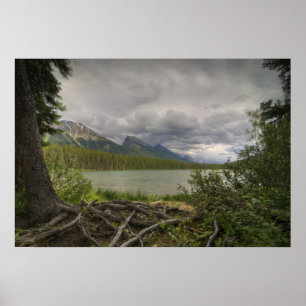Lake View Poster