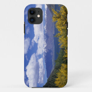 Lake Wakatipu and the Remarkables, Queenstown, iPhone 11 Case