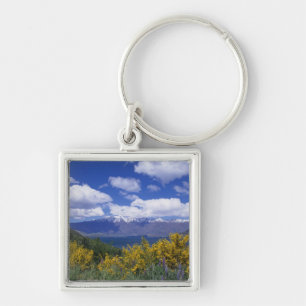 Lake Wakatipu and the Remarkables, Queenstown, Keychain
