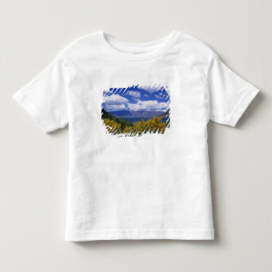 Lake Wakatipu and the Remarkables, Queenstown, Toddler T-shirt