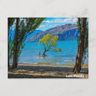 Lake Wanaka New Zealand Postcard