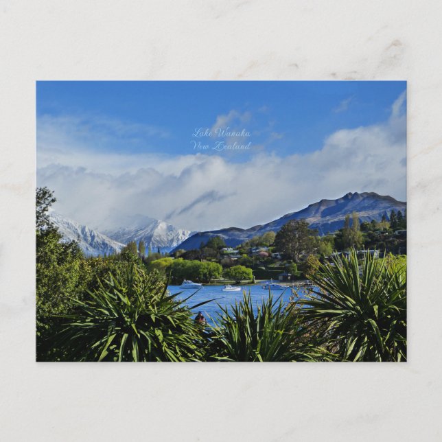 Lake Wanaka, Otago, New Zealand Postcard (Front)
