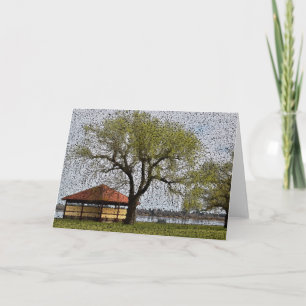 Lake Wendouree Pavilion Ballarat Card