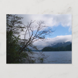 Lake Whatcom Postcard