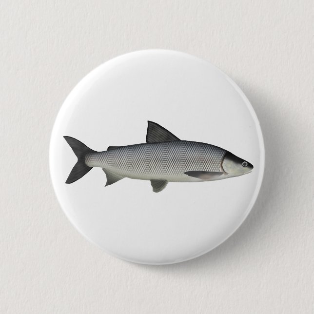 Lake Whitefish Button (Front)
