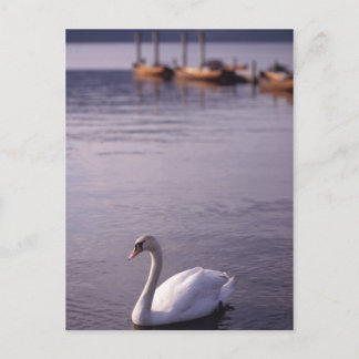 Lake Windermere Postcard