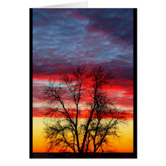 Lake Winnebago Sunset Resembling American Flag