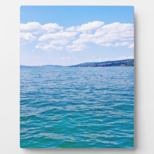 Lake Zurich Plaque