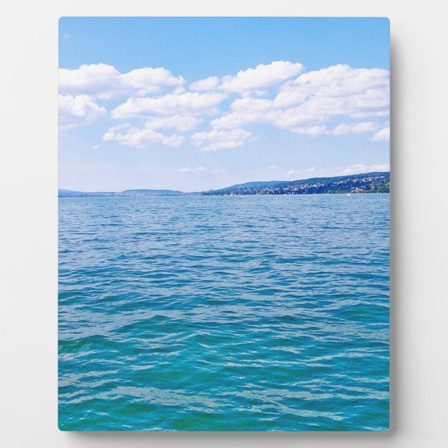 Lake Zurich Plaque (Front)