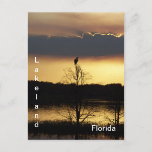 Lakeland Floride Sunset 139 Carte postale