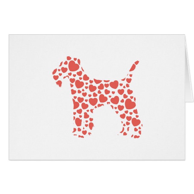 Lakeland Terrier (Front Horizontal)