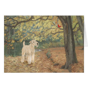 Lakeland Terrier Birdwatching