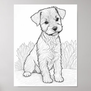 Lakeland Terrier Dog Adult Coloring Poster