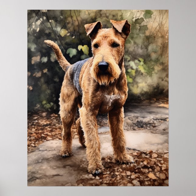 Lakeland Terrier Dog Art Imprimer Poster (Devant)