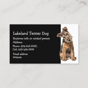 Lakeland Terrier Dog Breeder Pet Sitter  Business Card