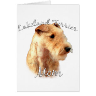 Lakeland Terrier Maman 2